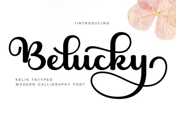Belucky: The Font That Boosted My Bakery’s Brand