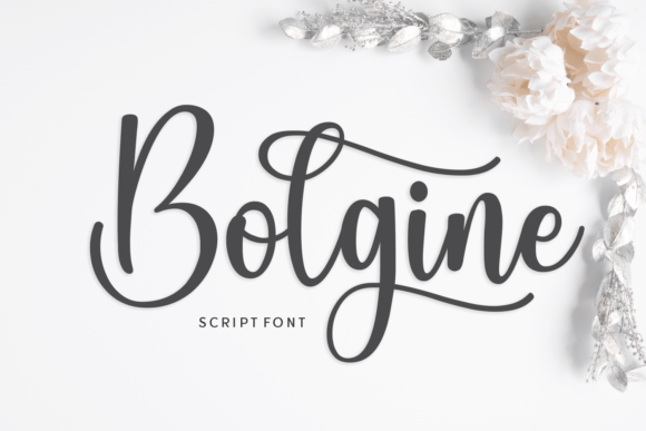 Bolgine: A Script Font for Elegant Campaigns