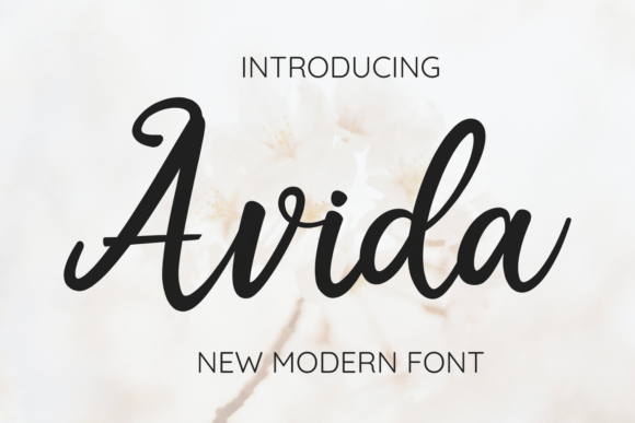 Font Choice That Matters: Avida for Campaign Clarity