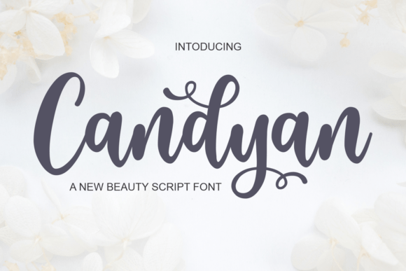 Font Choice That Speaks Volumes: How Candyan Elevates Campaign Design