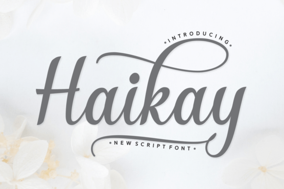 Haikay: The Font That Elevates Every Campaign