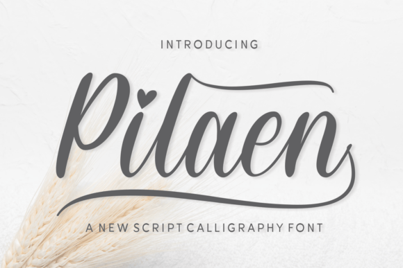 Pilaen: A Script Font for Elegant Campaigns